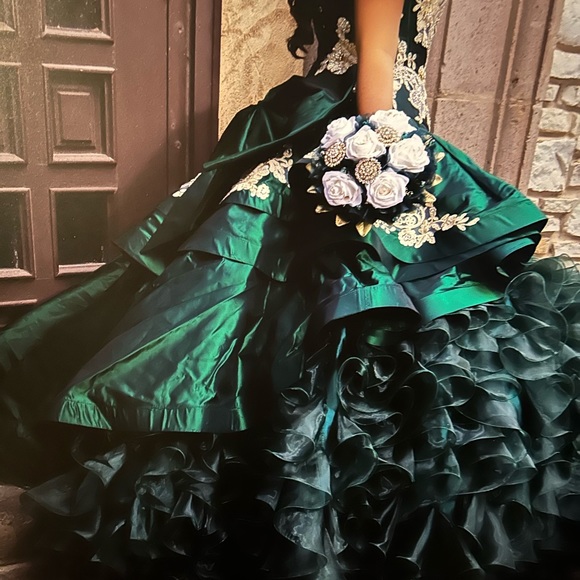Quinceañera Dress - Picture 3 of 6